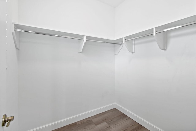 walk in closet with hardwood / wood-style flooring