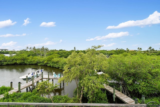 dock area with a water view