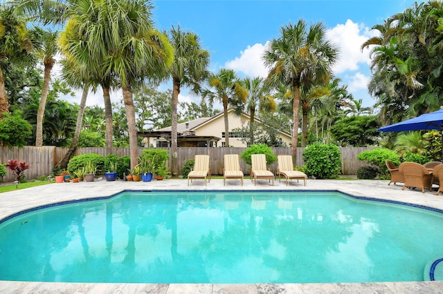 view of swimming pool featuring a patio, a fenced in pool, and a fenced backyard