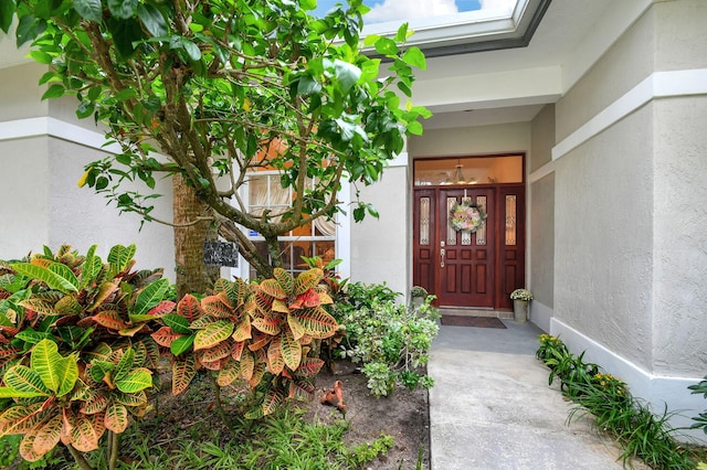view of exterior entry featuring stucco siding