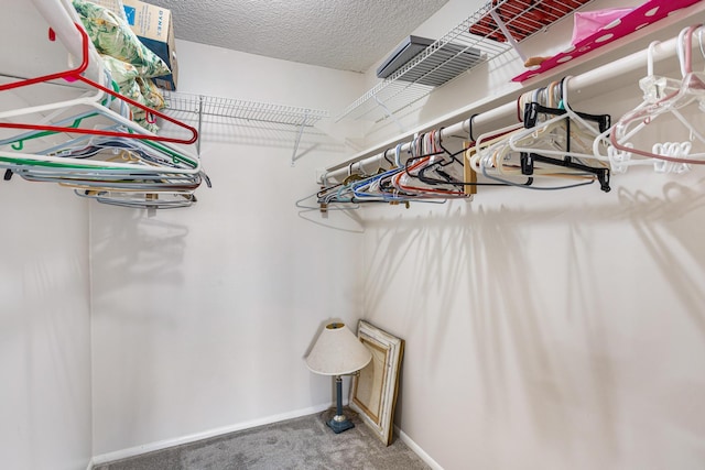 spacious closet with carpet