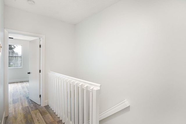 hallway featuring radiator and dark hardwood / wood-style flooring