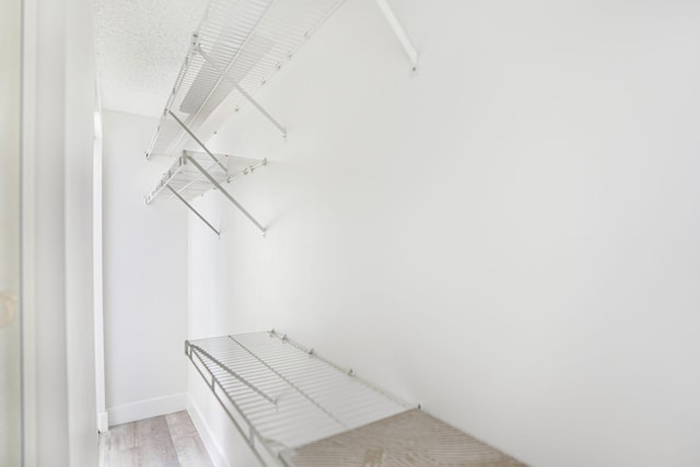 spacious closet with light wood-type flooring