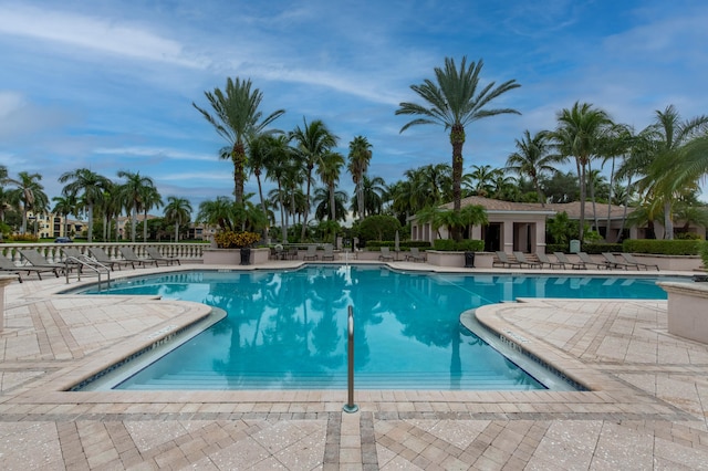 view of pool featuring a patio