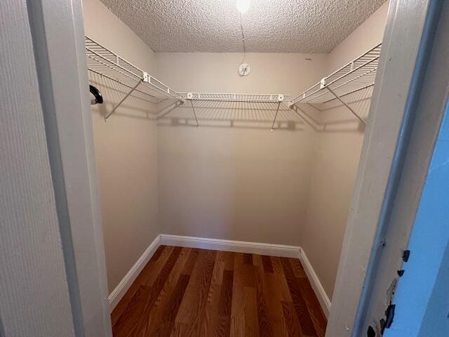 spacious closet with hardwood / wood-style flooring