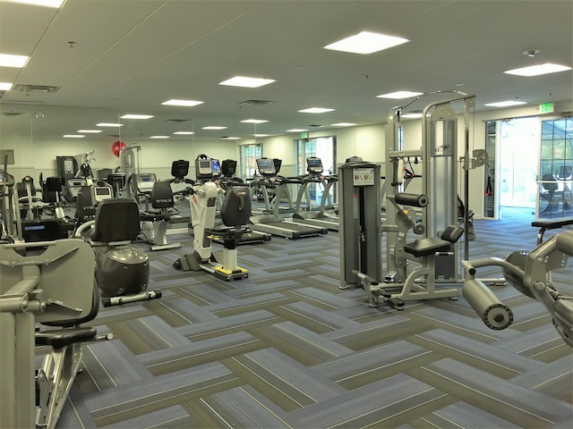 gym featuring a healthy amount of sunlight and carpet flooring