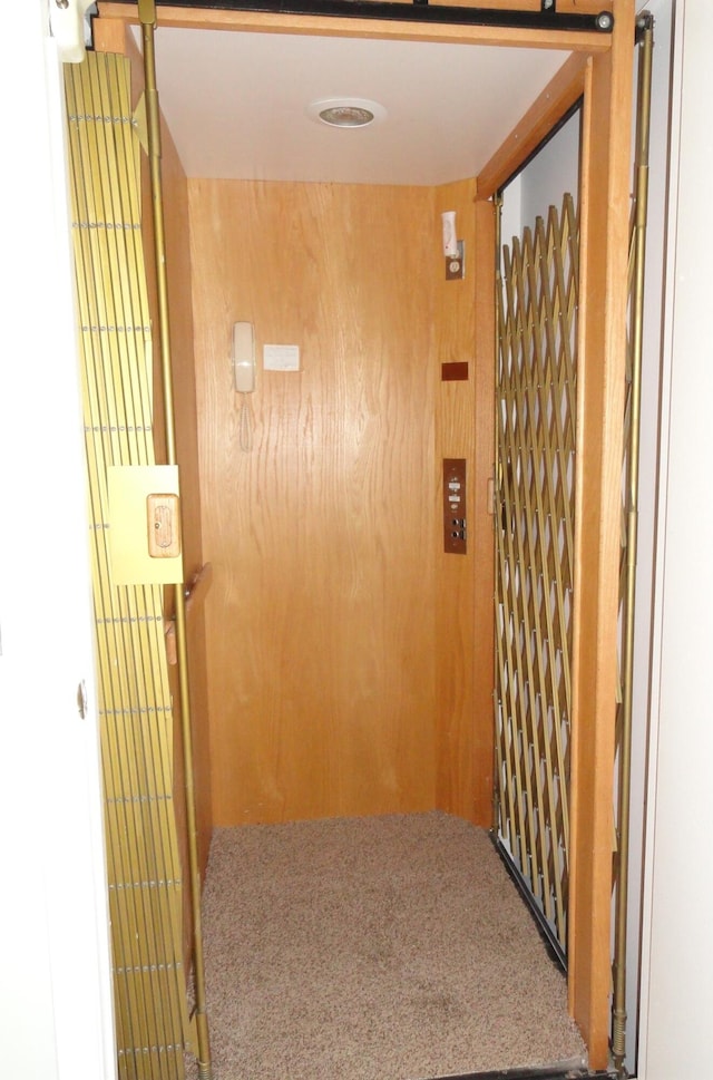 hall featuring elevator and carpet floors