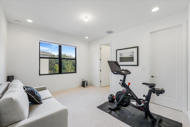 exercise room featuring light colored carpet