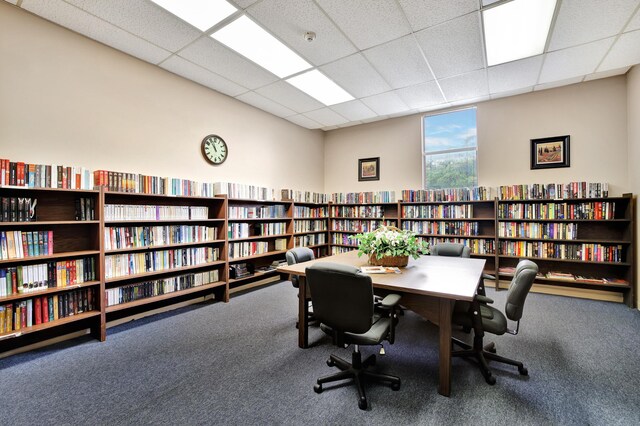 carpeted home office featuring a paneled ceiling