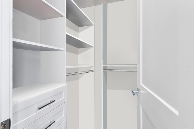 view of walk in closet