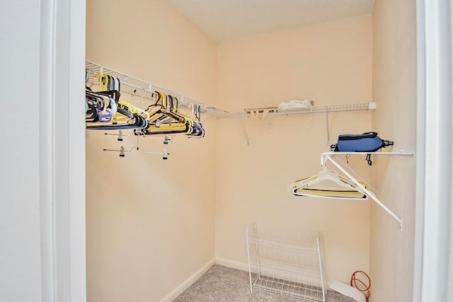 spacious closet featuring carpet flooring