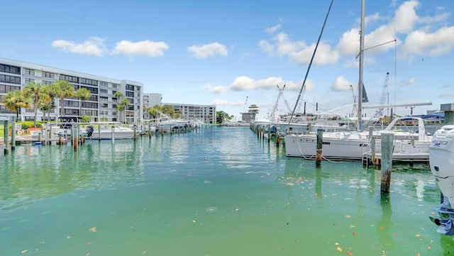 dock area with a water view