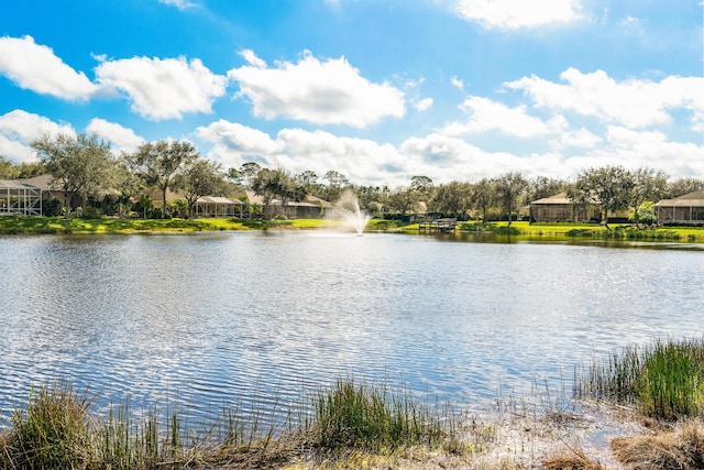 property view of water