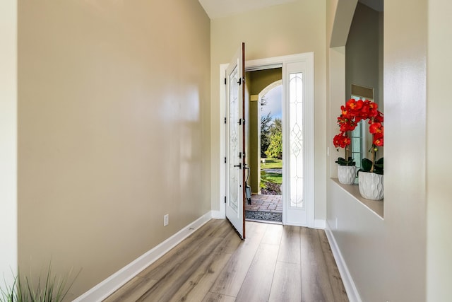 foyer featuring light hardwood / wood-style floors and a healthy amount of sunlight