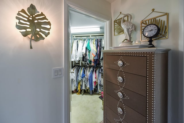 spacious closet with carpet