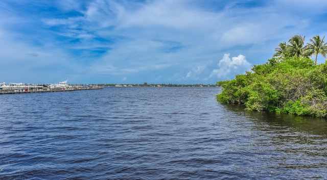 property view of water