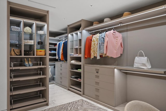 view of spacious closet