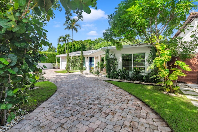 ranch-style house with a front yard