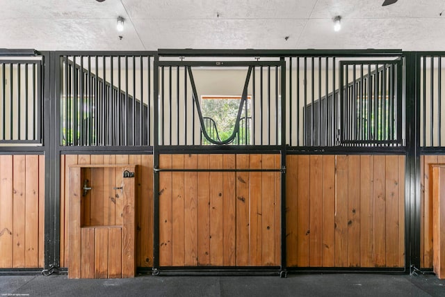 rear view of property with french doors and a yard