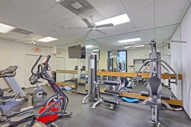 workout area with a paneled ceiling and ceiling fan