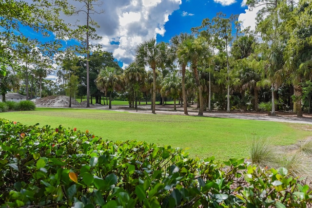 view of community featuring a lawn