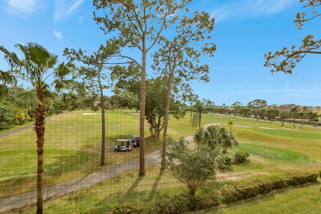 view of community with a lawn