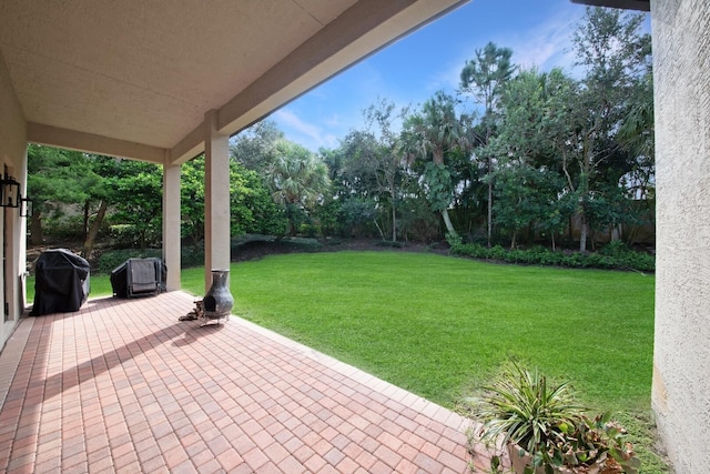 view of yard featuring a patio area