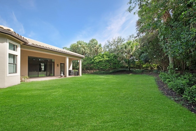 view of yard featuring a patio
