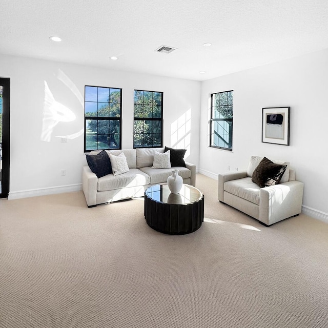 living room featuring a textured ceiling, light carpet, and a wealth of natural light