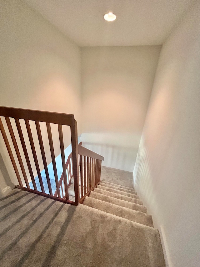 stairway featuring carpet flooring