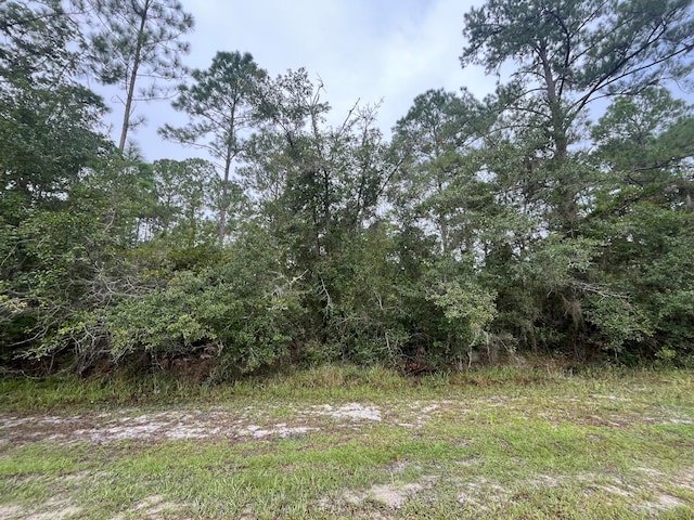 107 Pine Ave, Georgetown FL, 32139 land for sale