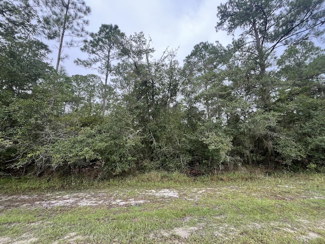 107 Pine Ave, Georgetown, FL 32139