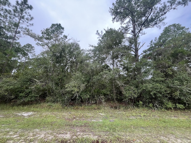 107 Pine Ave, Georgetown, FL 32139
