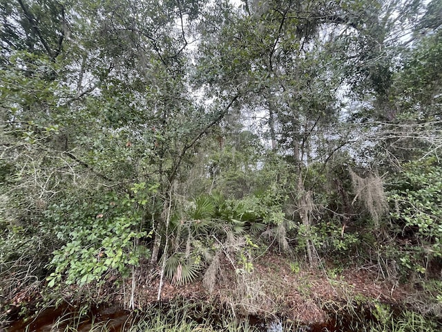 107 Pine Ave, Georgetown, FL 32139