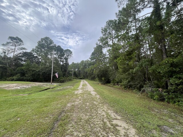 107 Pine Ave, Georgetown, FL 32139