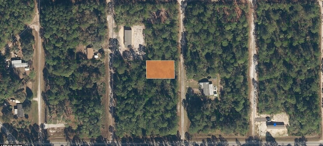 107 Pine Ave, Georgetown, FL 32139