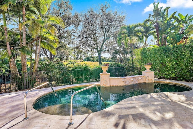 view of pool featuring a patio area