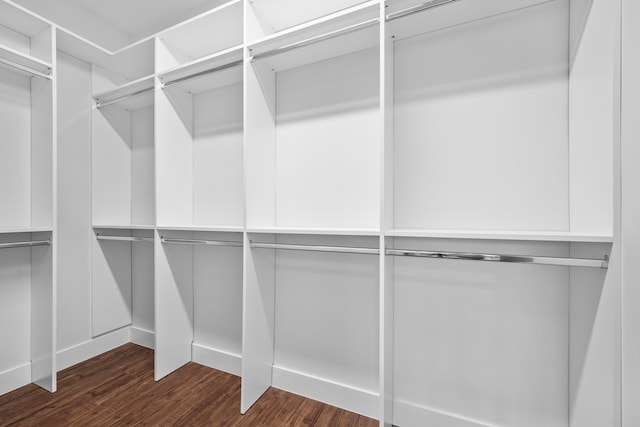 walk in closet with dark hardwood / wood-style flooring