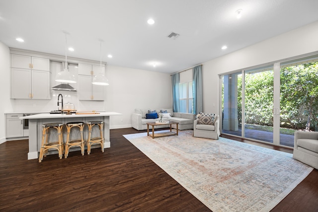 living room featuring sink and dark wood-type flooring