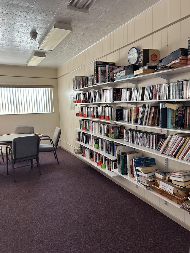 office area featuring carpet and wood walls