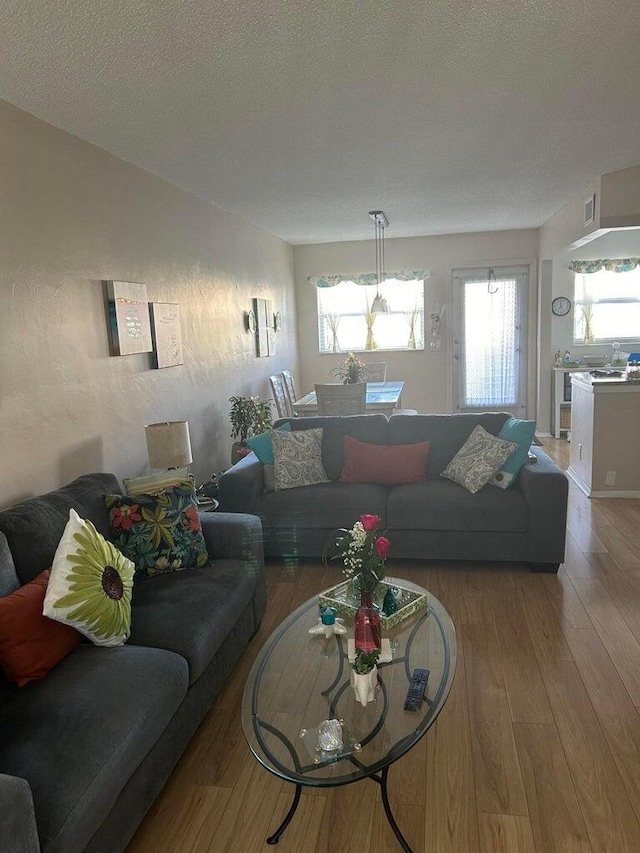 living room featuring hardwood / wood-style flooring, a textured ceiling, and a wealth of natural light