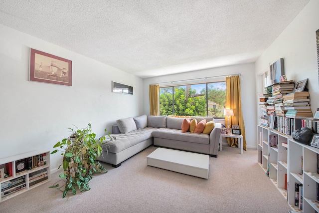 living room with a textured ceiling and carpet