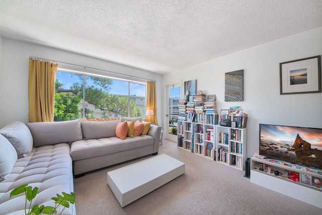 2581 N Garden Dr Unit 306, Lake Worth, FL 33461 - carpeted living area with a textured ceiling