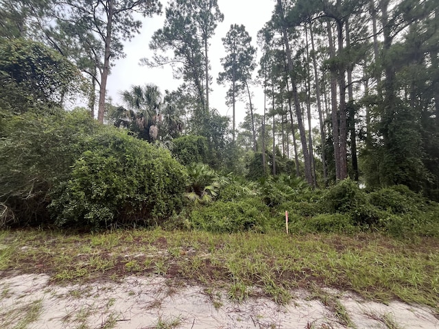 120 Gardenia Ave, Georgetown, FL 32139