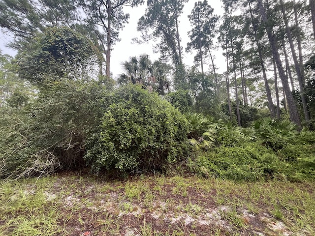 120 Gardenia Ave, Georgetown, FL 32139