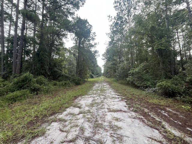 120 Gardenia Ave, Georgetown, FL 32139