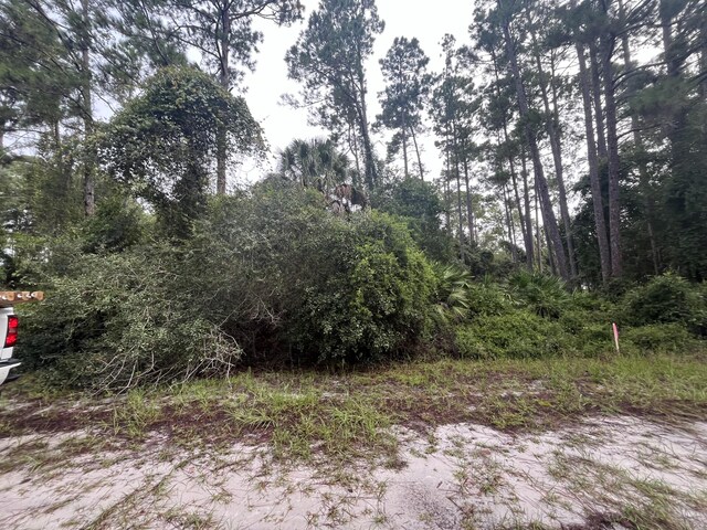 120 Gardenia Ave, Georgetown, FL 32139