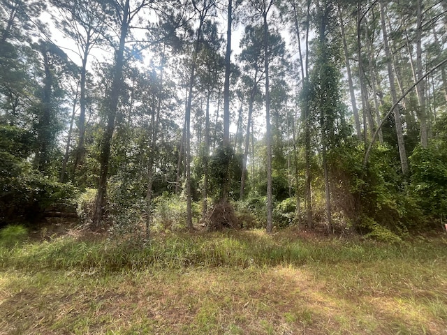 223 SE 2nd St, Georgetown FL, 32139 land for sale