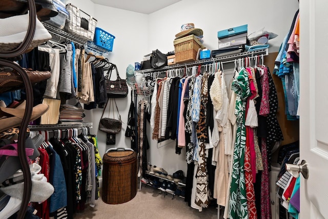 walk in closet featuring carpet