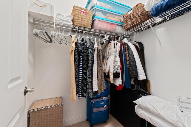 walk in closet featuring carpet